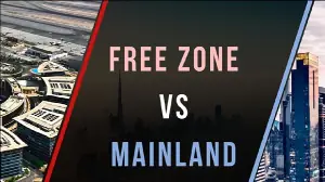 Mainland vs Free Zone Company Differences