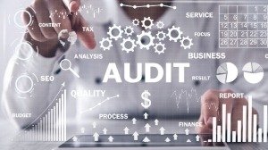 Audit Requirements for Free Zone Companies