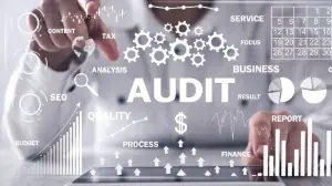 Audit Requirements for Free Zone Companies